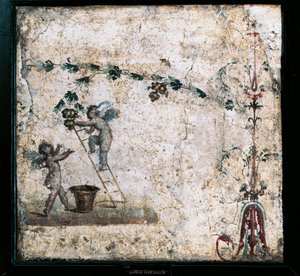 Affresco del terzo stile che raffigura Cupidi che raccolgono, dalla Casa di Marco Lucrezio a Pompei da Roman Roman