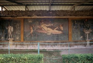 Venere nella conchiglia, affresco dal peristilio nella Casa di Venere nella Conchiglia, Pompei (Lista del Patrimonio Mondiale UNESCO)