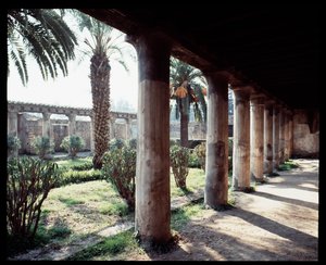 Veduta del peristilio della Casa d