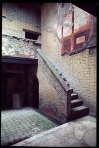 Vista della casa del Bel Cortile, V secolo a.C.-I secolo d.C. da Roman Roman
