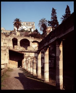Veduta della palestra, V secolo a.C.-I secolo d.C. da Roman Roman
