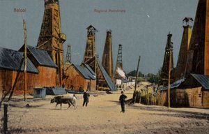 Pozzi petroliferi, Baicoi, Romania