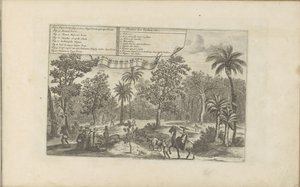 Alberi e spezie da Romeyn de Hooghe