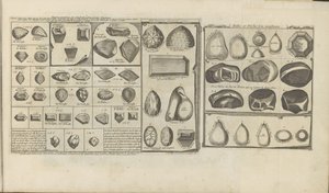 Diamanti, rubini e perle da Romeyn de Hooghe