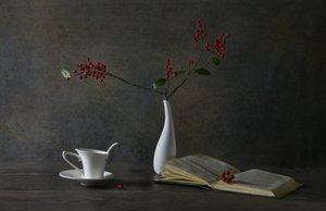 Accogliente natura morta dedicata alla lettura