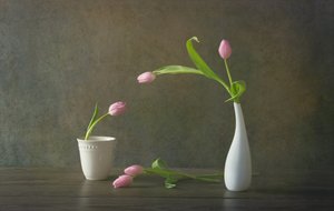 Natura morta con eleganti tulipani rosa da Rong Wei