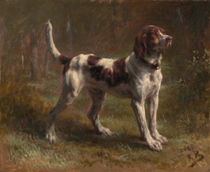 Un cane Limier Briquet