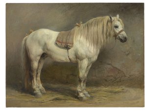 Un cavallo bianco da Rosa Bonheur