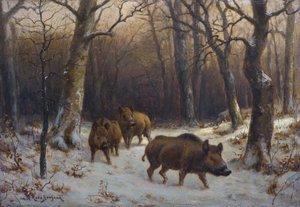 Francese:  Sangliers dans la neige Cinghiali nella neve da Rosa Bonheur