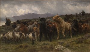  da Rosa Bonheur