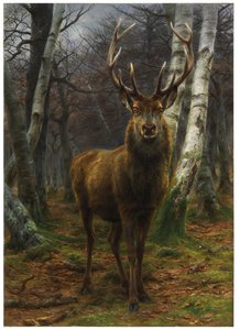 Re della Foresta, 1878 da Rosa Bonheur