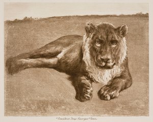  da Rosa Bonheur