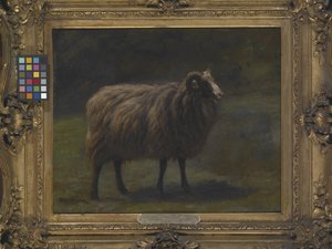 Ariete da Rosa Bonheur