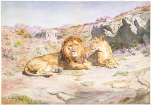  da Rosa Bonheur