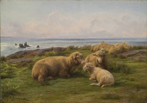 Pecore vicino al mare da Rosa Bonheur