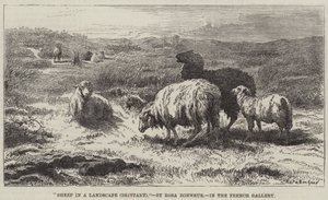 Pecore in un paesaggio, Bretagna da Rosa Bonheur