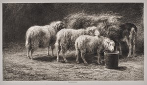  da Rosa Bonheur