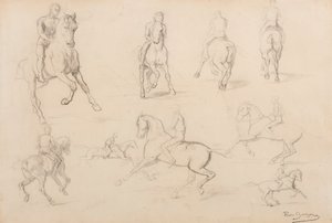 Studi di un cavallo e cavaliere