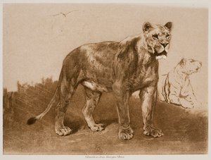  da Rosa Bonheur