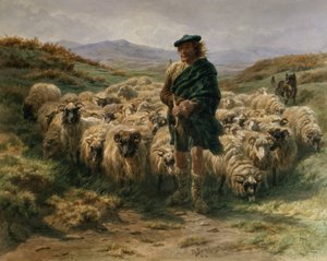 Il pastore delle Highlands