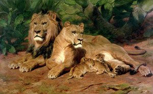 I leoni a casa
