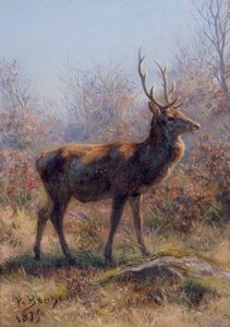Il cervo da Rosa Bonheur