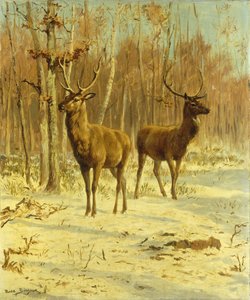 Due cervi in una radura in inverno da Rosa Bonheur