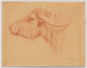  da Rosa Bonheur