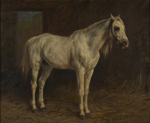 Cavallo bianco da Rosa Bonheur
