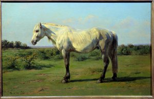 Cavallo bianco in un prato da Rosa Bonheur