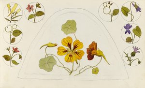 Disegni con nasturzi e altri fiori