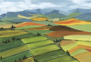 Campi ondulati e colorati