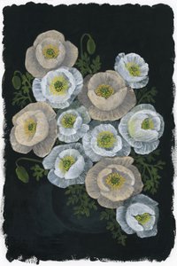Eleganti fiori di papavero da Rosana Laiz Blursbyai