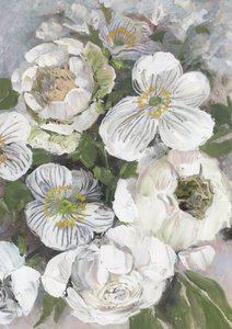 Fiori bianchi freschi da Rosana Laiz Blursbyai