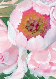 Fiore di peonia rosa da Rosana Laiz Blursbyai