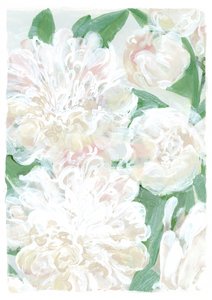 Peonie bianche e morbide da Rosana Laiz Blursbyai