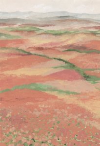 Campi di papaveri dai colori vivaci da Rosana Laiz Blursbyai