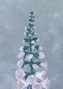 Fiore di digitale bianca da Rosana Laiz Blursbyai