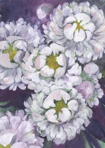 Fiori di peonia bianca da Rosana Laiz Blursbyai