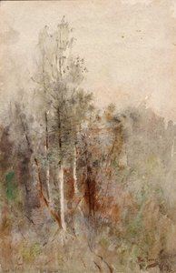 Studio di un albero