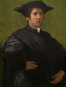 Ritratto di un Uomo da Rosso Fiorentino