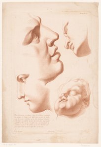Teste di uomo, donna e bambino (Principi del disegno dal vero, parte seconda) da Louis François Roubillac