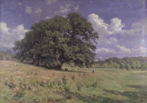 Grandi querce presso una palude