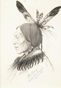Heu-Topa, Quattro Corna o Jagoo, Il Narratore, Capo degli Hunkpapa Sioux da Rudolf Cronau