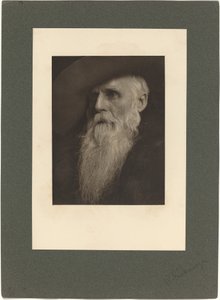 Il mandriano