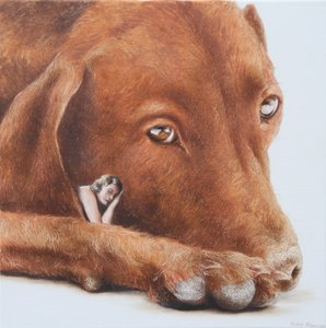Il sogno del cane tranquillo