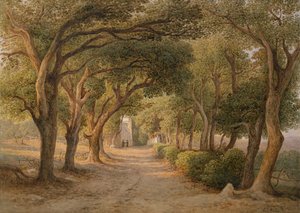Castel Gandolfo da Rudolf Müller