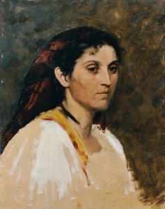 Testa di una romana da Rudolf Schick