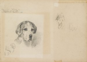 Ritratto di un cane: Windsor da Rudolf Wimmer