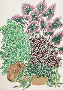 Piante in vaso dai colori vivaci da Rushati Chowdhury